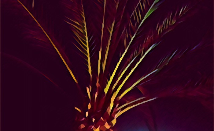 POR QUERER QUE NO&nbsp;QUEDE