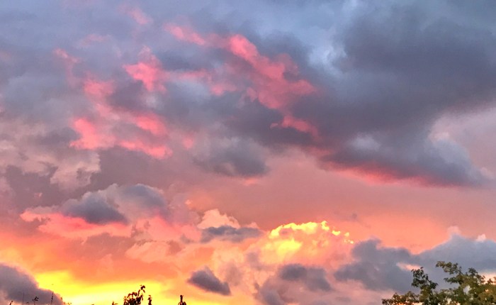 SE CAMBIA POLVO POR BRILLO&nbsp;(Soneto).